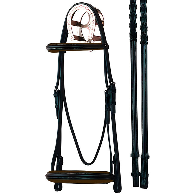Bobby's Dressage Raised Padded Bridle image number null