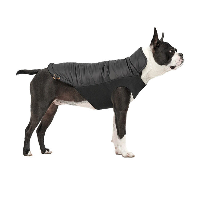 Goo-eez Mock Neck Signature Wrap Jacket for Dogs - Black image number null