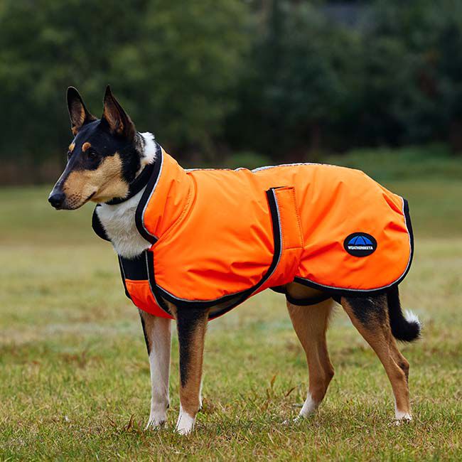 WeatherBeeta ComFiTec Deluxe Showerproof Dog Coat - Orange image number null