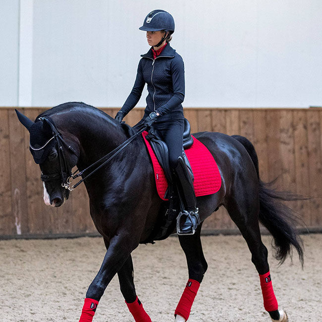 LeMieux Suede Dressage Pad - Chilli image number null