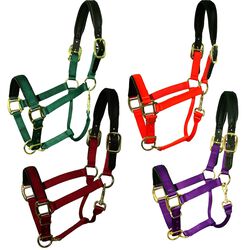 Intrepid International Chafeless Breakaway Halter Padded Crown and Nose