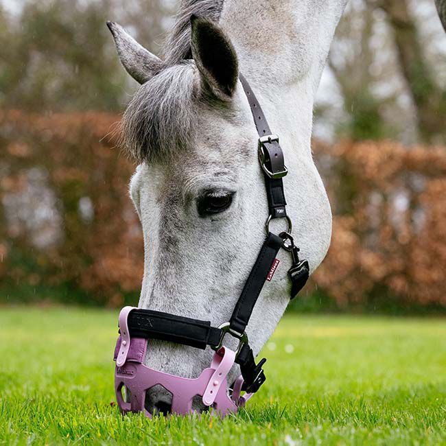 LeMieux Noma Grazing Muzzle - Mallow image number null
