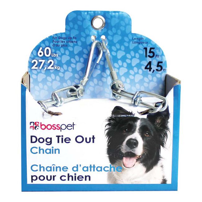 Boss Pet Steel Dog Tie-Out Chain The Cheshire Horse