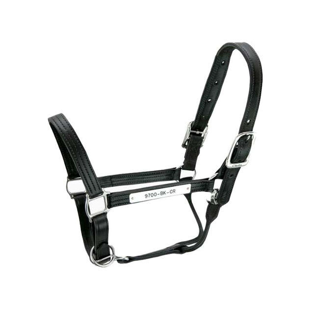 Walsh Kentucky Halter image number null
