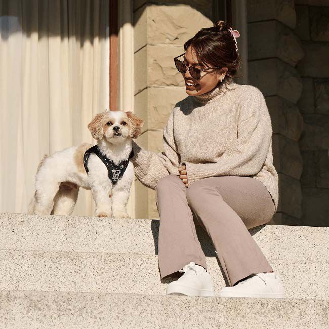 RC Pets Step In Cirque Dog Harness - Maze image number null