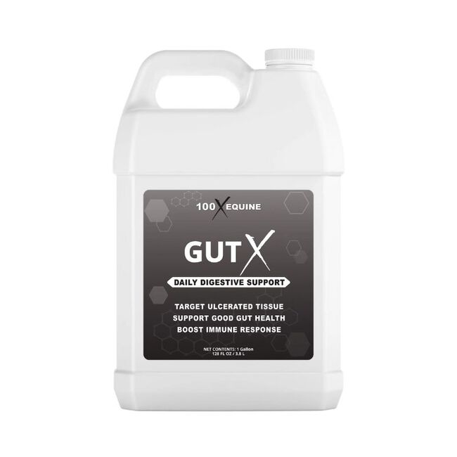 100X Equine Gut X Daily Digestive Support The Cheshire Horse