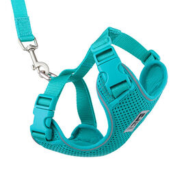 RC Pets Adventure Kitty Harness - Teal