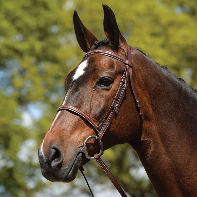Kincade Raised Fancy Stitched Bridle image number null