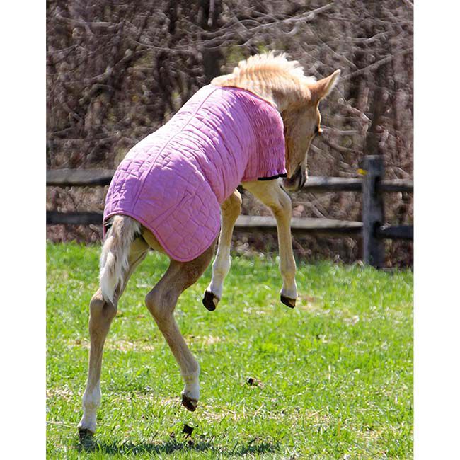 Schneiders UltraFlex Foal Saver - Pink image number null