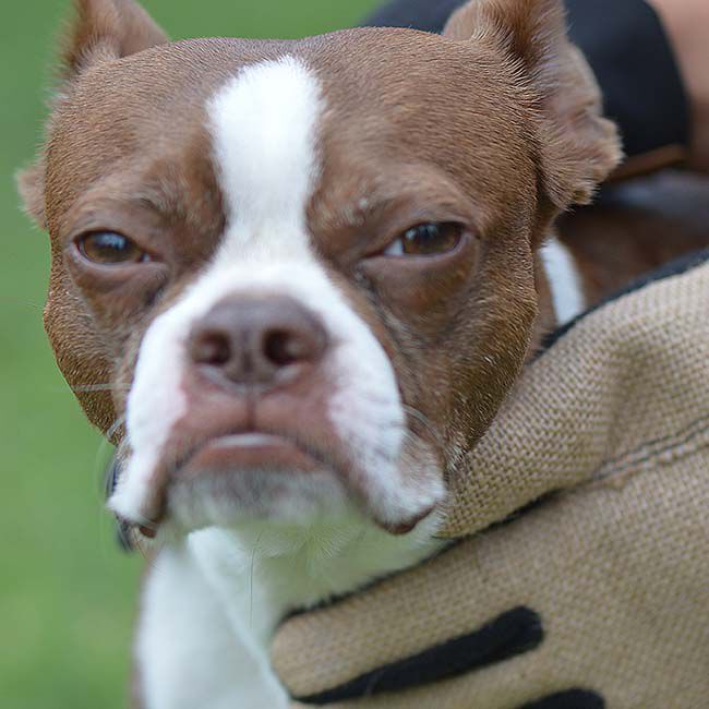 HandsOn Finishing Gloves image number null