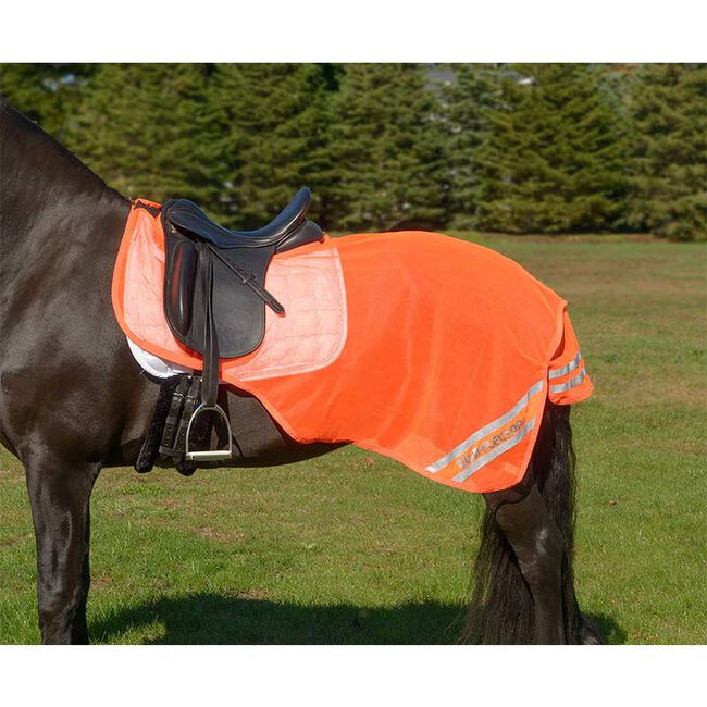 Shires Equestrian Equi-Flector Mesh Exercise Sheet image number null