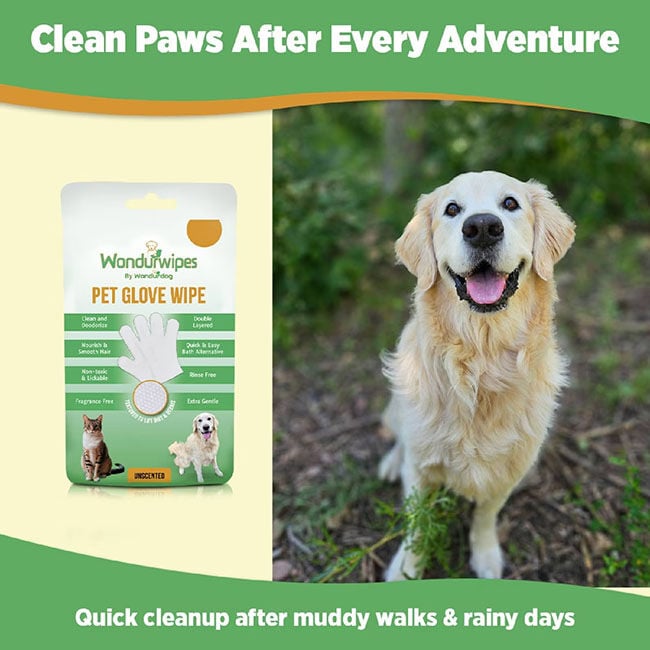 Wondurdog Wondurwipes - Deodorizing Dog & Cat Wipes - 6-Count image number null
