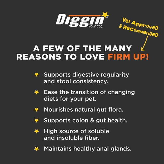 Diggin Your Dog Firm Up! - Digestive Aid Pumpkin Powder image number null