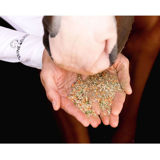 Equine Elixirs Immunox - Equine Immunity, Antioxidant & Muscle Recovery Support image number null