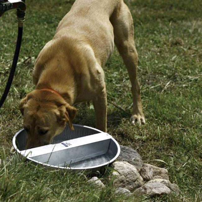 Pet Lodge Galvanized Ever Full Pet Bowl - 13-Quart Capacity image number null