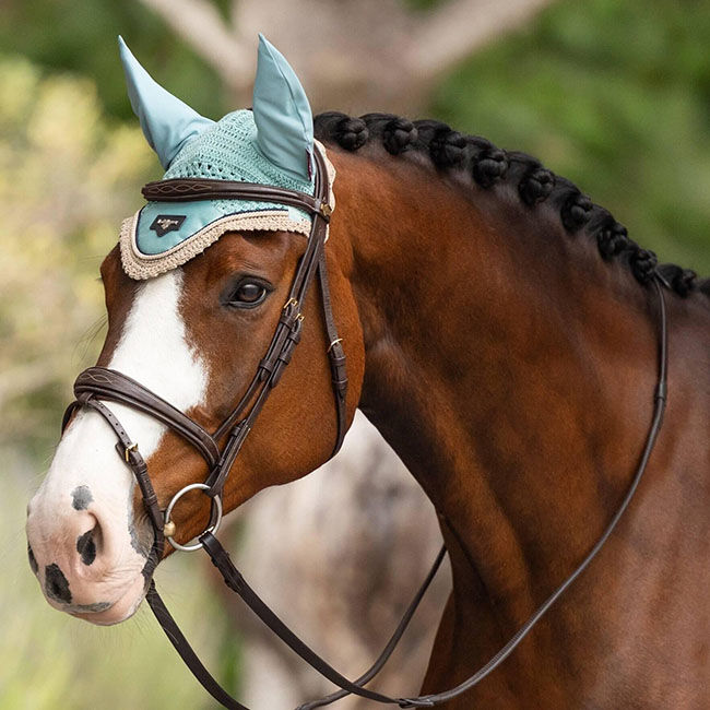 LeMieux Loire Ear Net - Aqua image number null