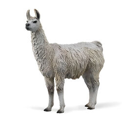CollectA by Breyer Llama