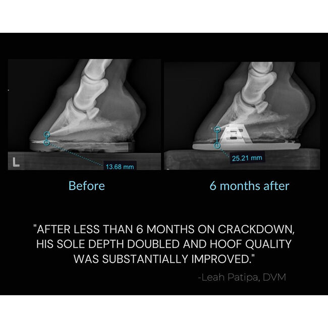 Equine Elixirs Crackdown - Hoof Support Supplement image number null
