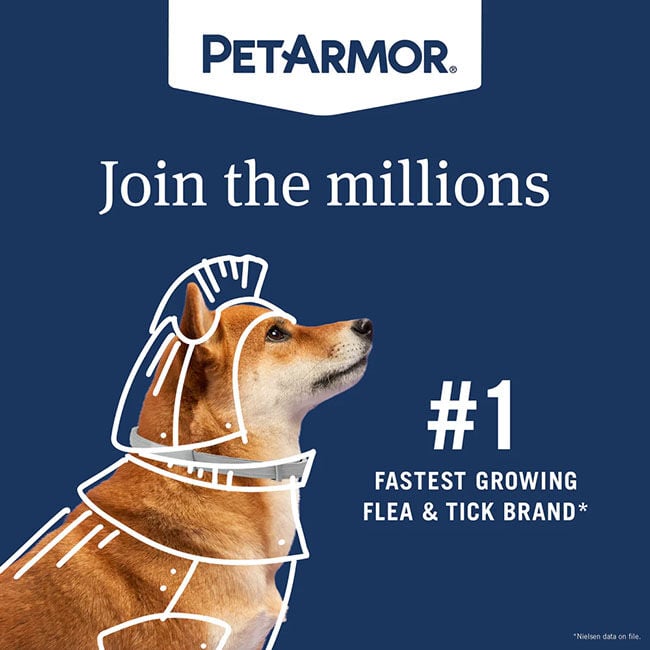 PetArmor Extend Flea & Tick Collar image number null