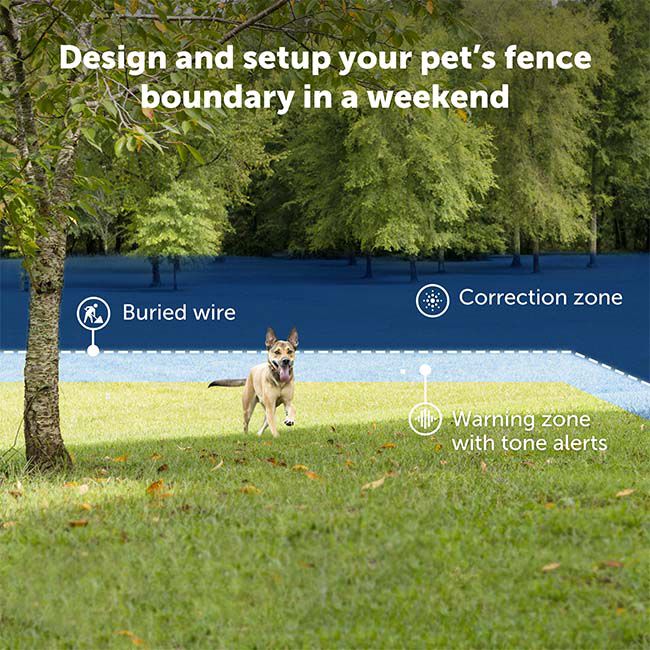 PetSafe Basic In-Ground Fence System image number null