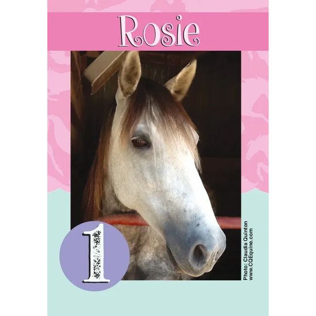 Horse Hollow Press Go Graze! Card Game image number null