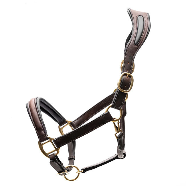 Correct Connect Ergonomic Halter with Padding image number null