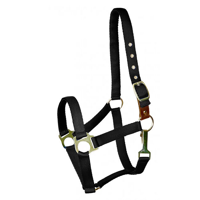 Gatsby Ultra Soft Nylon Safety Halter image number null