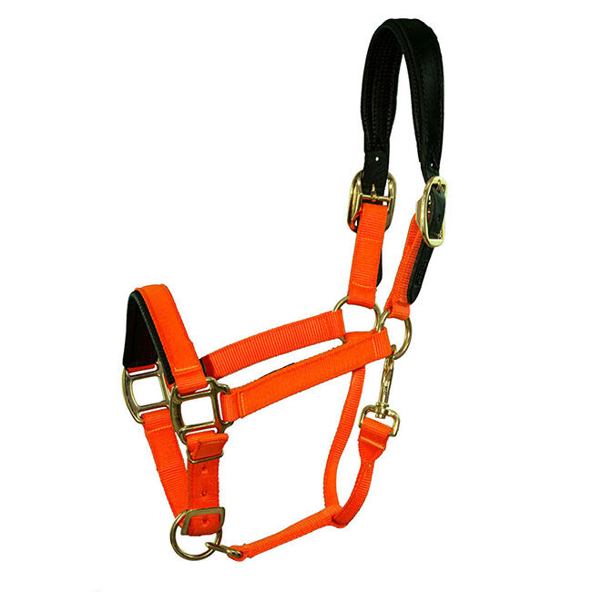 Intrepid International Premium Nylon Breakaway Halter with Padded Crown & Nose image number null