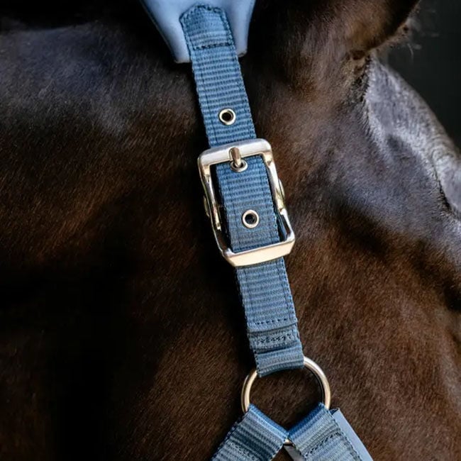 LeMieux Vogue Breakaway Halter - Ice Blue image number null
