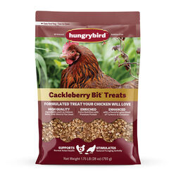 Hungrybird Hungryhen Cackleberry Bit Treats - 28 oz