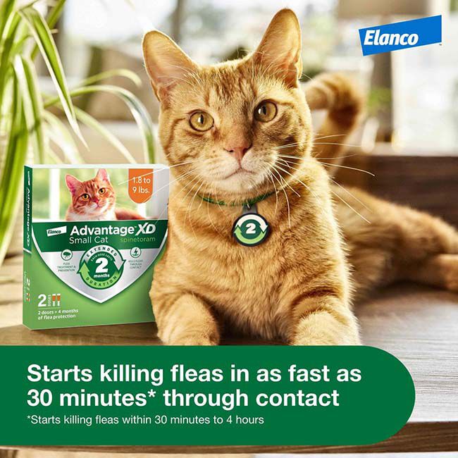 Elanco Advantage XD for Cats image number null
