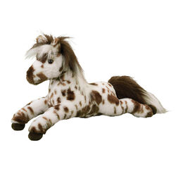 Douglas Duke the Appaloosa Horse