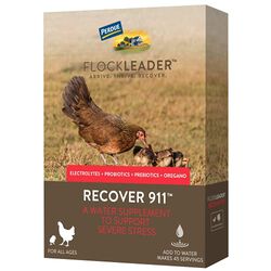 FlockLeader Recover 911 - Severe Stress Probiotic Water Supplement for Chickens with Electrolytes, Prebiotics & Oregano - 8 oz