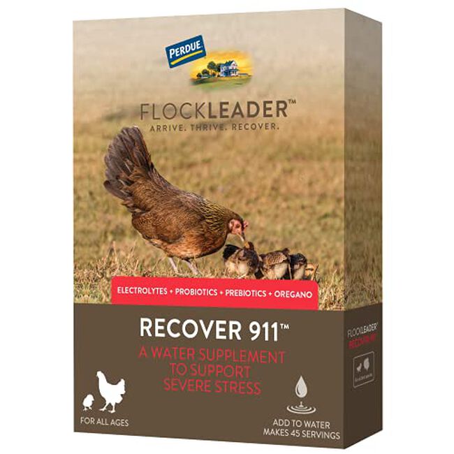 FlockLeader Recover 911 for Chickens image number null