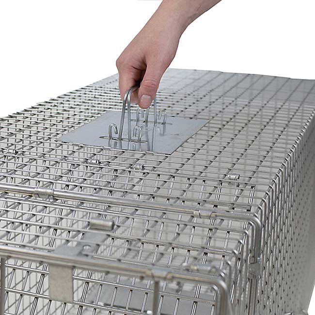 Havahart X-Large 1-Door Animal Trap image number null