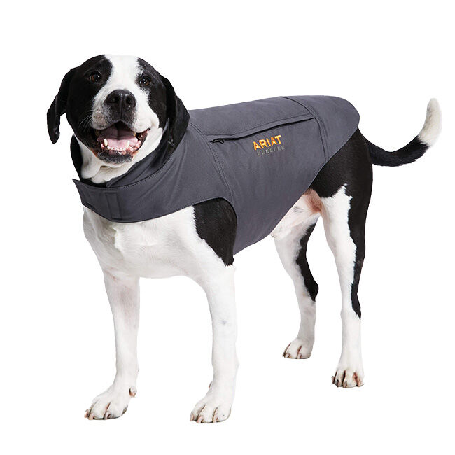 Ariat Rebar DuraCanvas Insulated Dog Jacket - Rebar Gray image number null