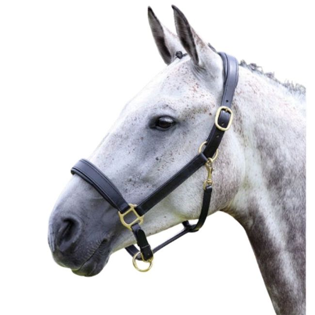Shires Blenheim Leather Travel Headcollar image number null