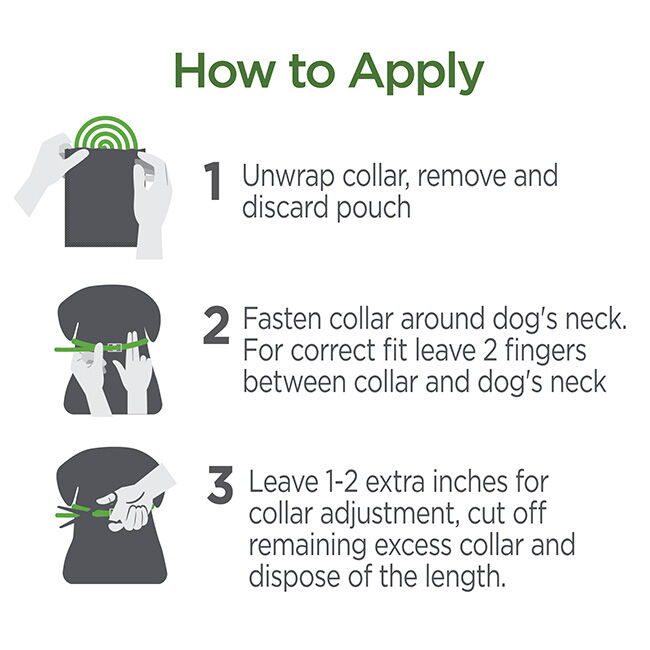 Vetality Protect Flea & Tick Collars for Dogs - 2-Pack image number null