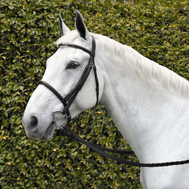 Bobby's English Tack Silver Spur Raised Snaffle Bridle image number null