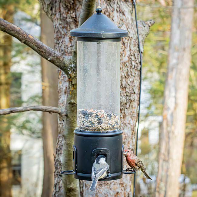 Nature's Way Squirrel Shield Choice Tube Feeder image number null