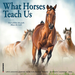 Willow Creek Press 2026 Mini Wall Calendar - What Horses Teach Us