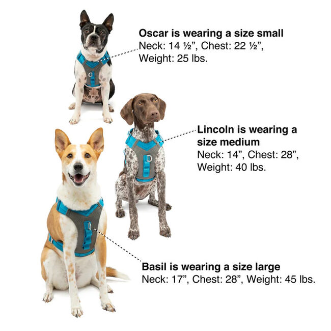 Kurgo Journey Air Dog Harness image number null
