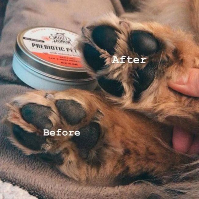 Skout's Honor Prebiotic Pet Balm for Dogs & Cats - 2 oz image number null