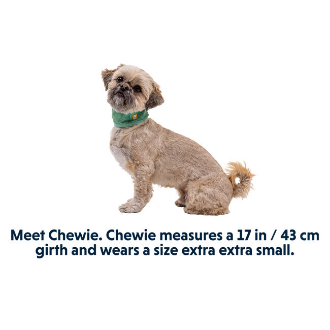 Ruffwear Swamp Cooler Cooling Neck Gaiter - Aurora Teal/Heliotrope Purple image number null