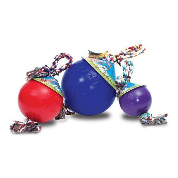 Romp n best sale roll dog toy