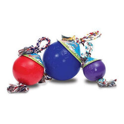Jolly Romp-N-Roll Dog Toy