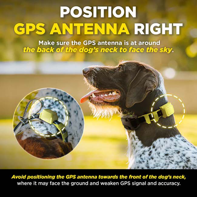 Dogtra GPS Fence image number null