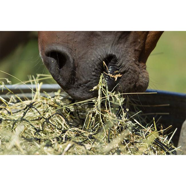 Hay Chix Small Bale Net image number null