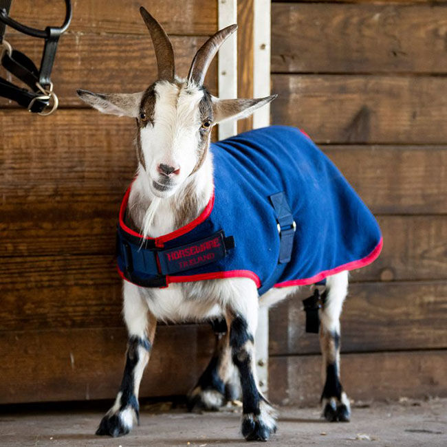 Horseware Goat Fleece - Navy/Red image number null