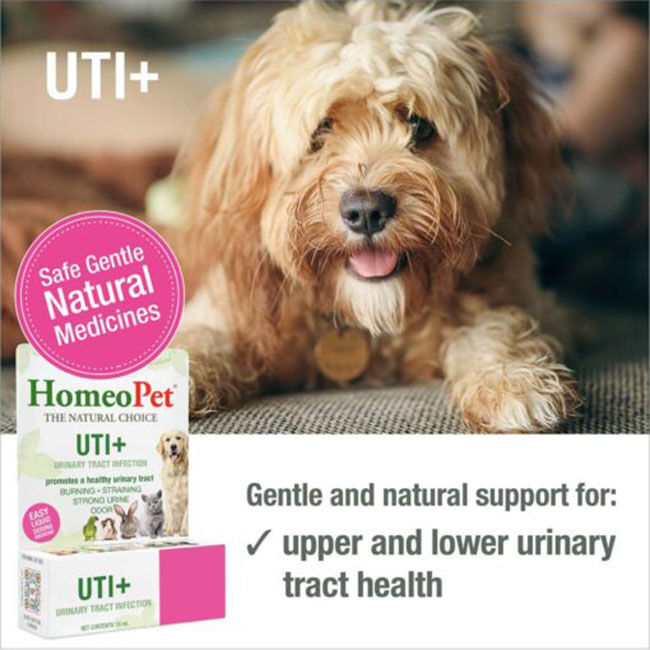 HomeoPet UTI+ - 15 mL image number null